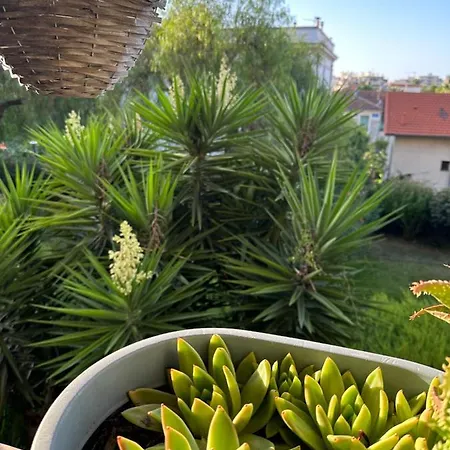 Homestay Location De Privee Dans Prive, Jardins Et Parking Gratuit 1 Min To Tramway Et 9 Min De Centre-ville, Accessibilite A Plusieurs Transports